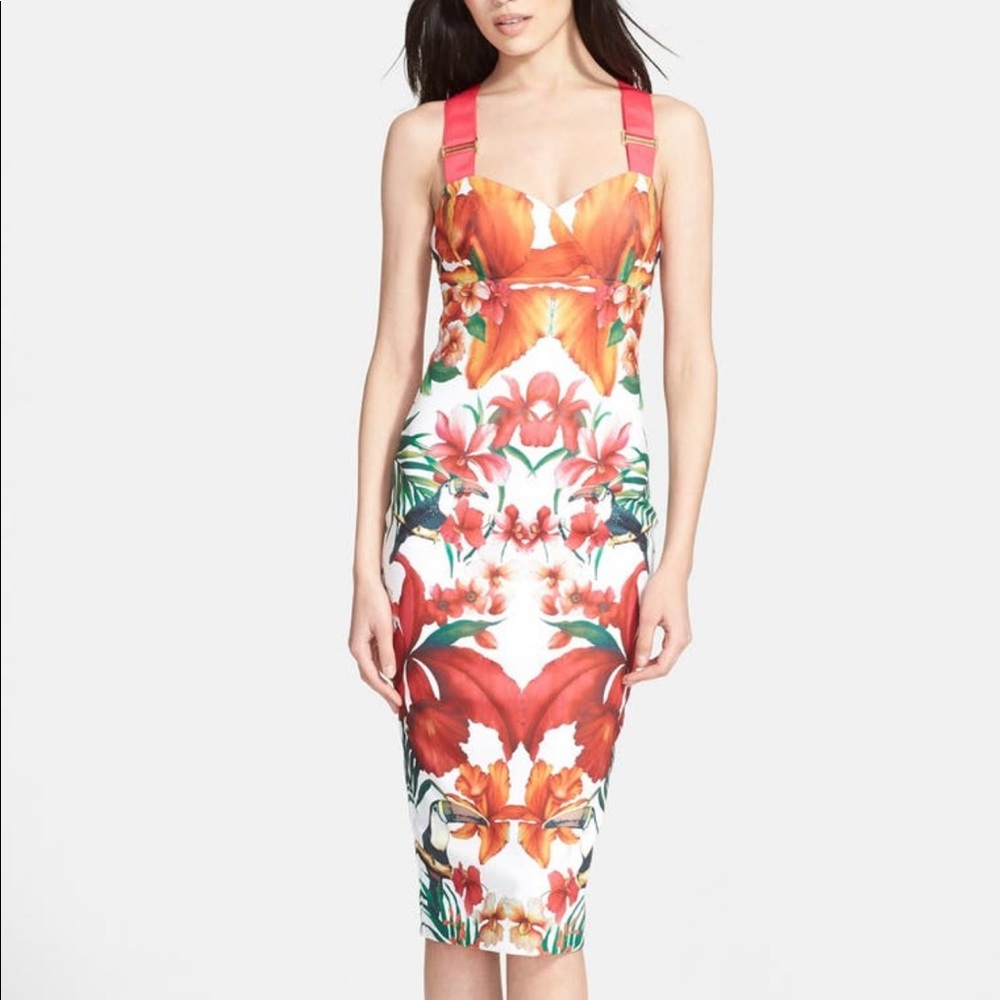 Ted Baker Jameela tropical toucan midi dress sz 1